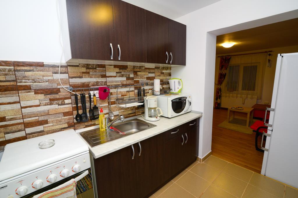 Otopeni Therme Airport Apartment Ruang foto