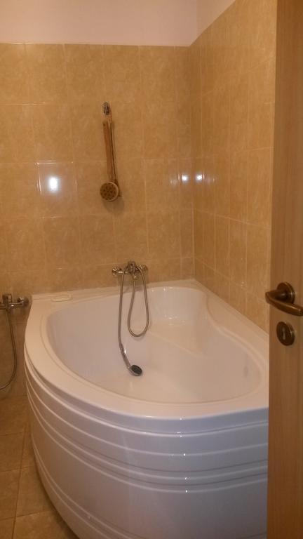 Otopeni Therme Airport Apartment Ruang foto